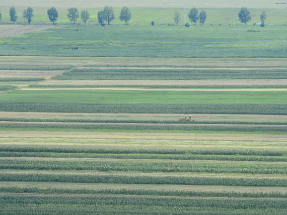 Vanzare teren agricol Constanta 3150 Ha