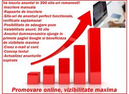 Promovare online, vizibilitate maxima