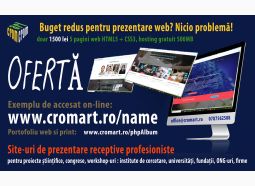 Site-uri web pentru institutii cu buget redus! Firma profesionista!