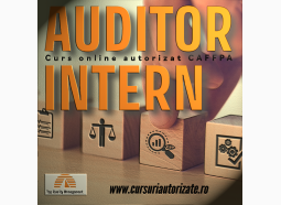 Curs online Auditor Intern