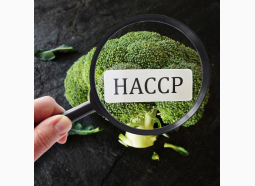 Curs online autorizat Managementul siguranţei alimentare HACCP şi ISO 22000