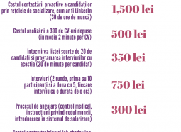 Adevăratul cost al angajării unui singur dezvoltator IT în România