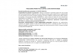 PROIECT CAPITAL LUCRU