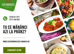 mancare romaneasca constanta