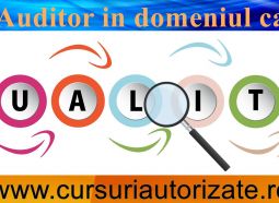 Curs Auditor in domeniul calitatii