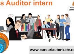 Curs online Auditor intern