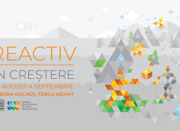 Festival Reactiv Targu Neamt