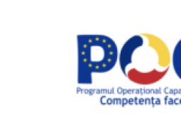 Dezvoltarea Inteligenței Digitale pentru o Cetățenie activă