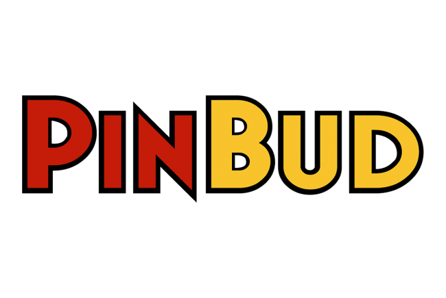 Logo-ul Pinbud (www.ksd.ro)