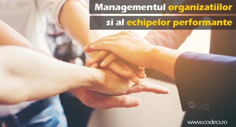 Managementul Organizatiilor si al Echipelor Performante