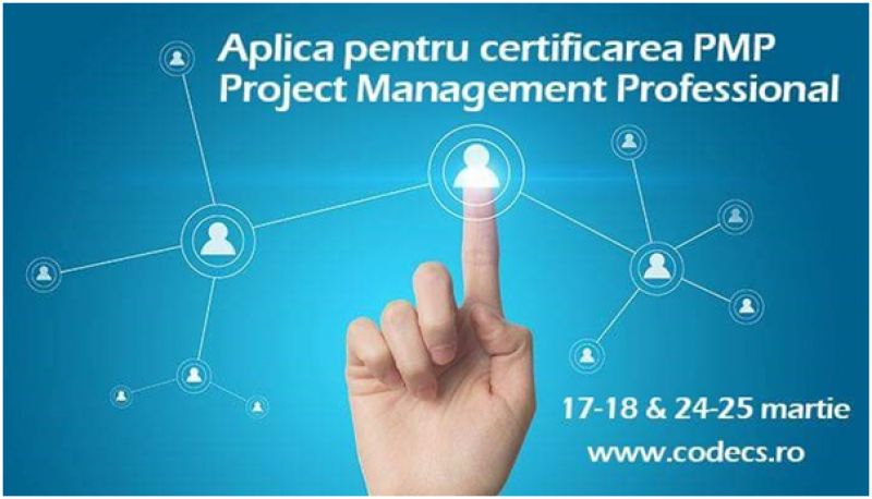 Project Management Professional