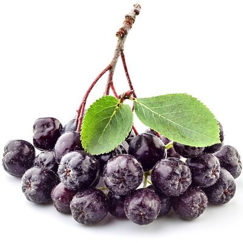 aronia